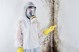 Best Black Mold Removal  in Belle, MO